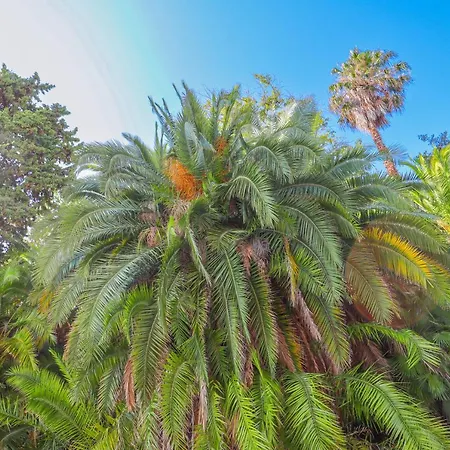 « Hawai » Proche Mer, Calme, Piscine *