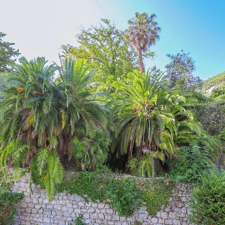 « Hawai » Proche Mer, Calme, Piscine Mentona